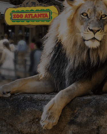 Rent mobility equipment for Zoo Atlanta