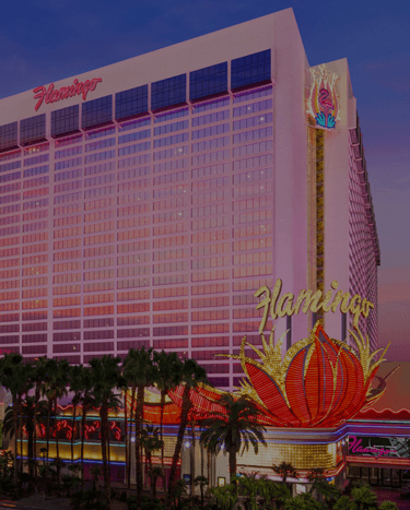 Book a Mobility Rental for the Flamingo