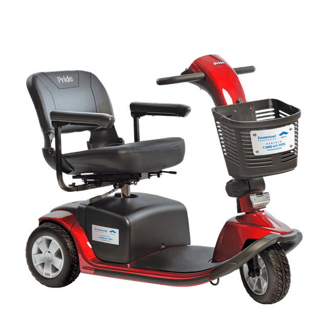 Scooters - Large